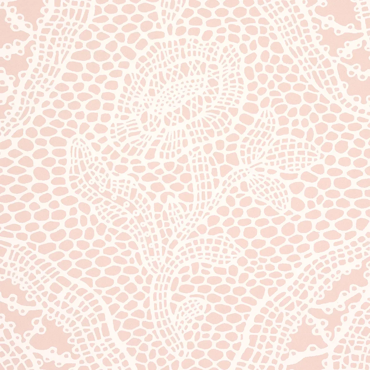 COSETTE LACE - BLUSH Schumacher Wallpaper | Wallpaper Twins COSETTE LACE BLUSH Schumacher Wallpaper wallpaper - SKU 5014720