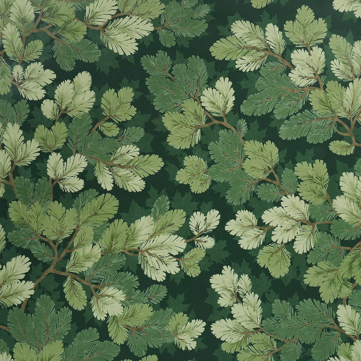 5016071 | COVEY HEDGE – FOREST