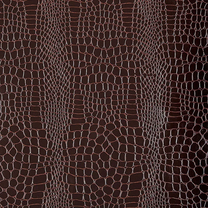5005833 | CROCODILE – JAVA