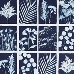 CYANOTYPE PANEL - INDIGO Schumacher Wallpaper | Wallpaper Tw CYANOTYPE PANEL INDIGO Schumacher Wallpaper wallpaper - SKU 5013970