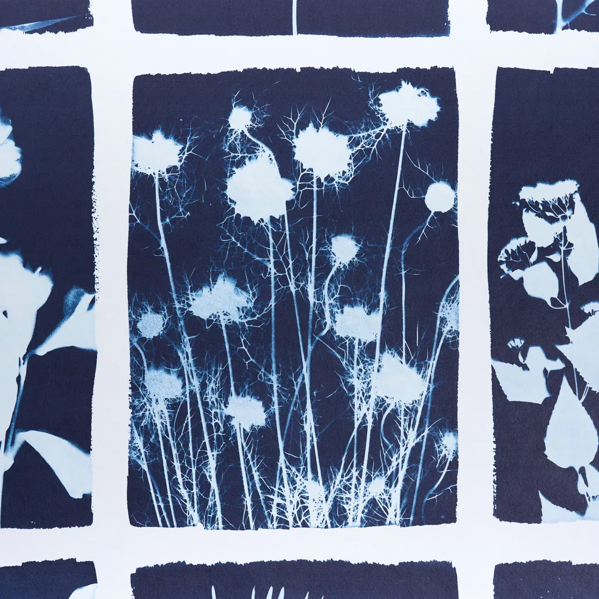 CYANOTYPE PANEL - INDIGO Schumacher Wallpaper | Wallpaper Tw CYANOTYPE PANEL INDIGO Schumacher Wallpaper wallpaper - SKU 5013970