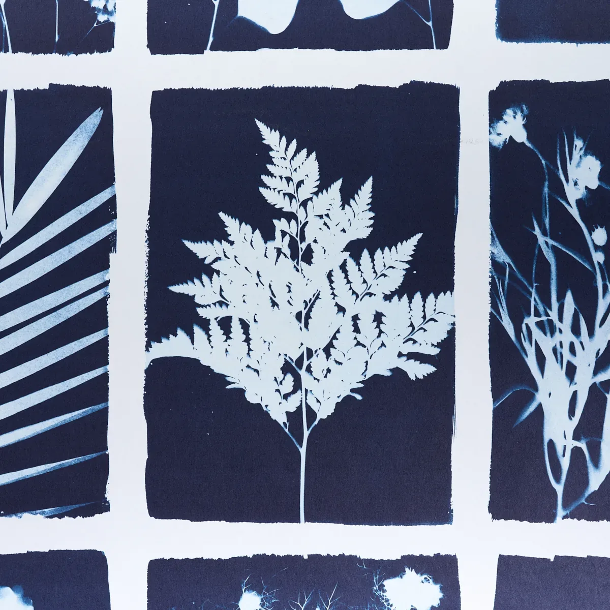 CYANOTYPE PANEL - INDIGO Schumacher Wallpaper | Wallpaper Tw CYANOTYPE PANEL INDIGO Schumacher Wallpaper wallpaper - SKU 5013970