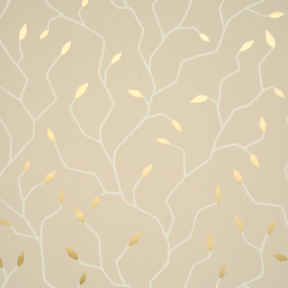 5011384 | CYMBELINE – ALABASTER