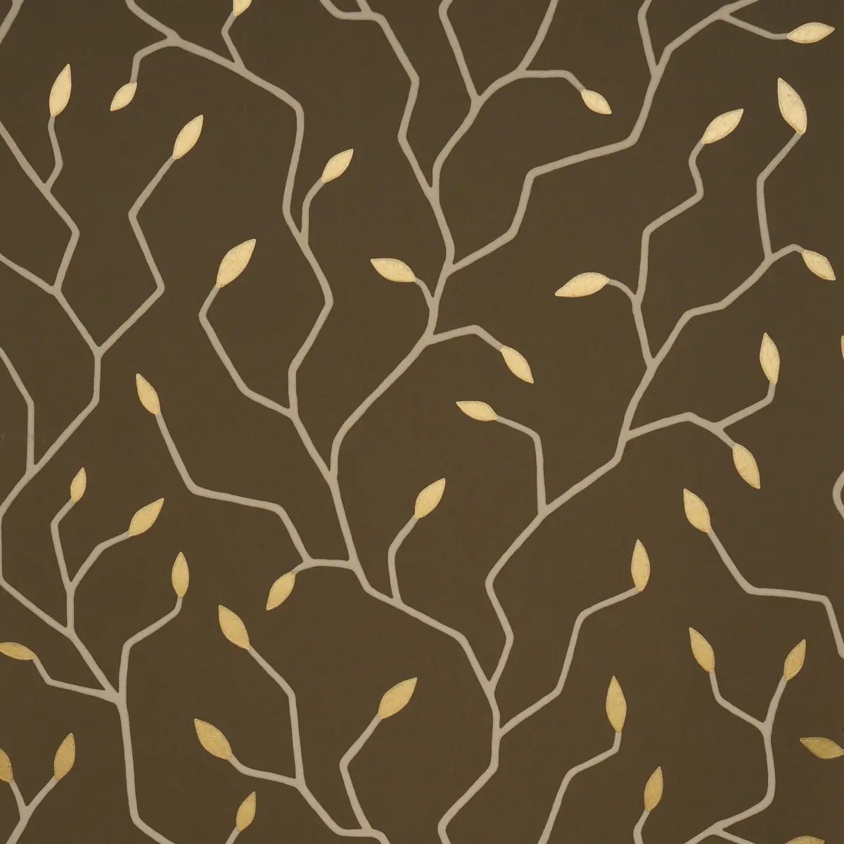 5011385 | CYMBELINE – CHOCOLATE
