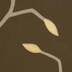 CYMBELINE CHOCOLATE Schumacher Wallpaper wallpaper - SKU 5011385