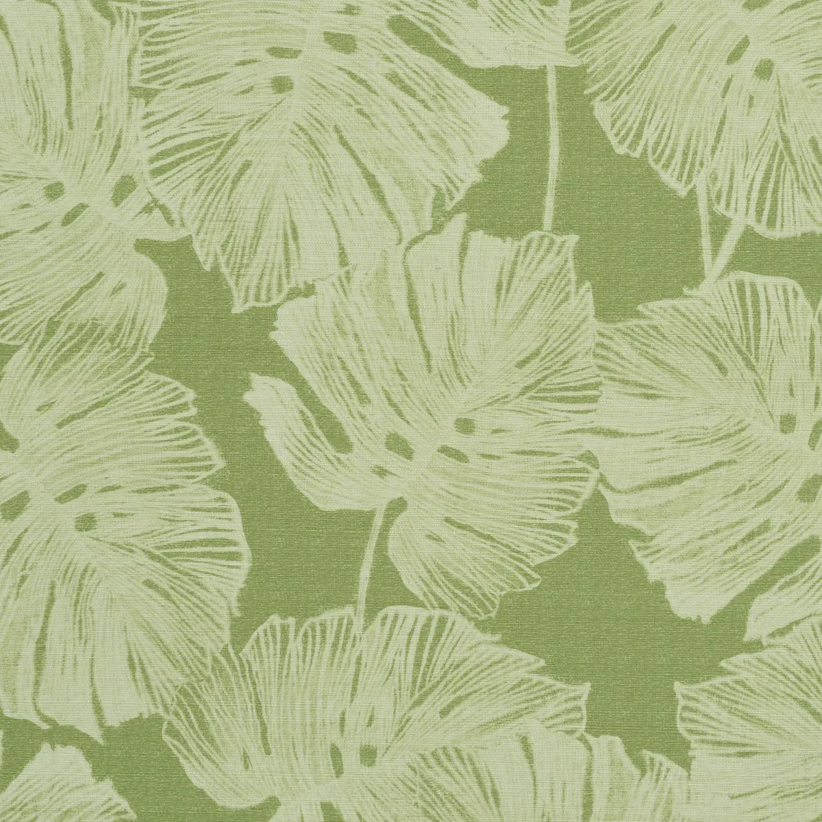 DEL COCO SISAL