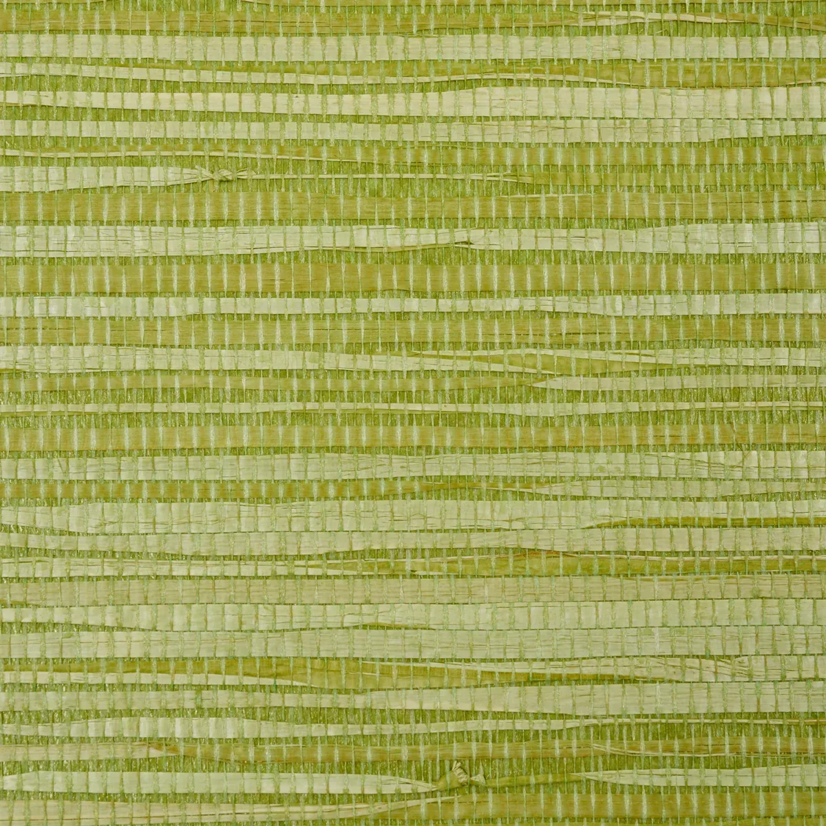 5010343 | DYED RAFFIA – LEAF