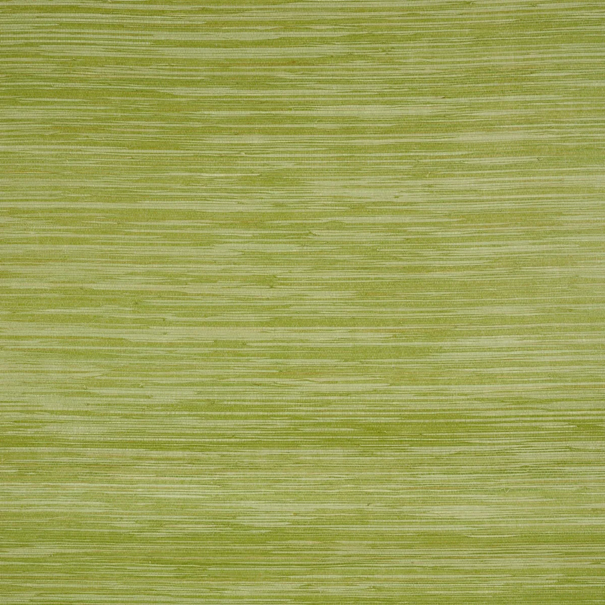 DYED RAFFIA LEAF Schumacher Wallpaper wallpaper - SKU 5010343