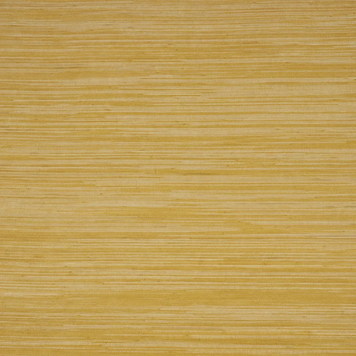 DYED RAFFIA YELLOW Schumacher Wallpaper wallpaper - SKU 5010344