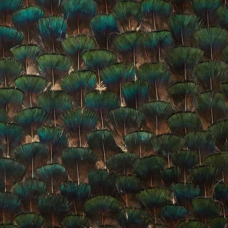 EDENITE