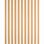 EDWIN STRIPE MEDIUM BUTTERNUT Schumacher Wallpaper wallpaper - SKU 5011893