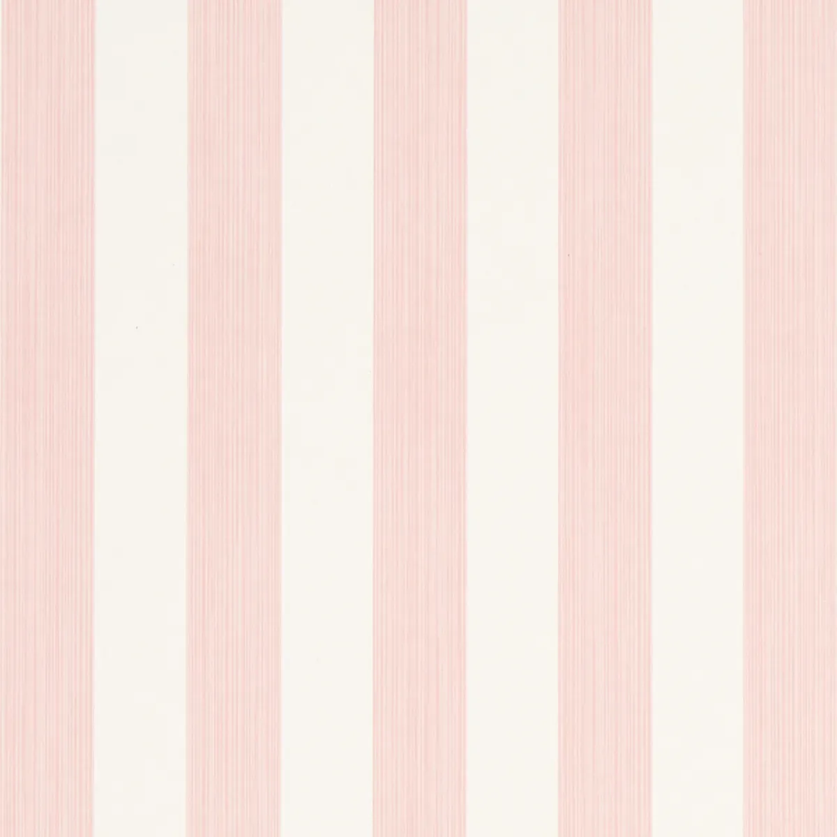 EDWIN STRIPE MEDIUM