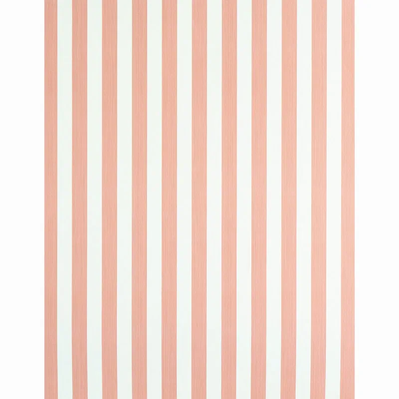 EDWIN STRIPE MEDIUM room view