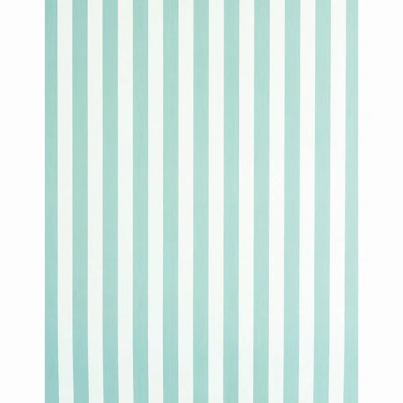 EDWIN STRIPE MEDIUM room view