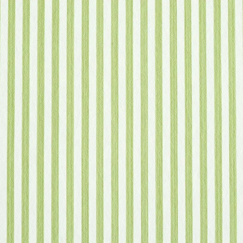 EDWIN STRIPE NARROW