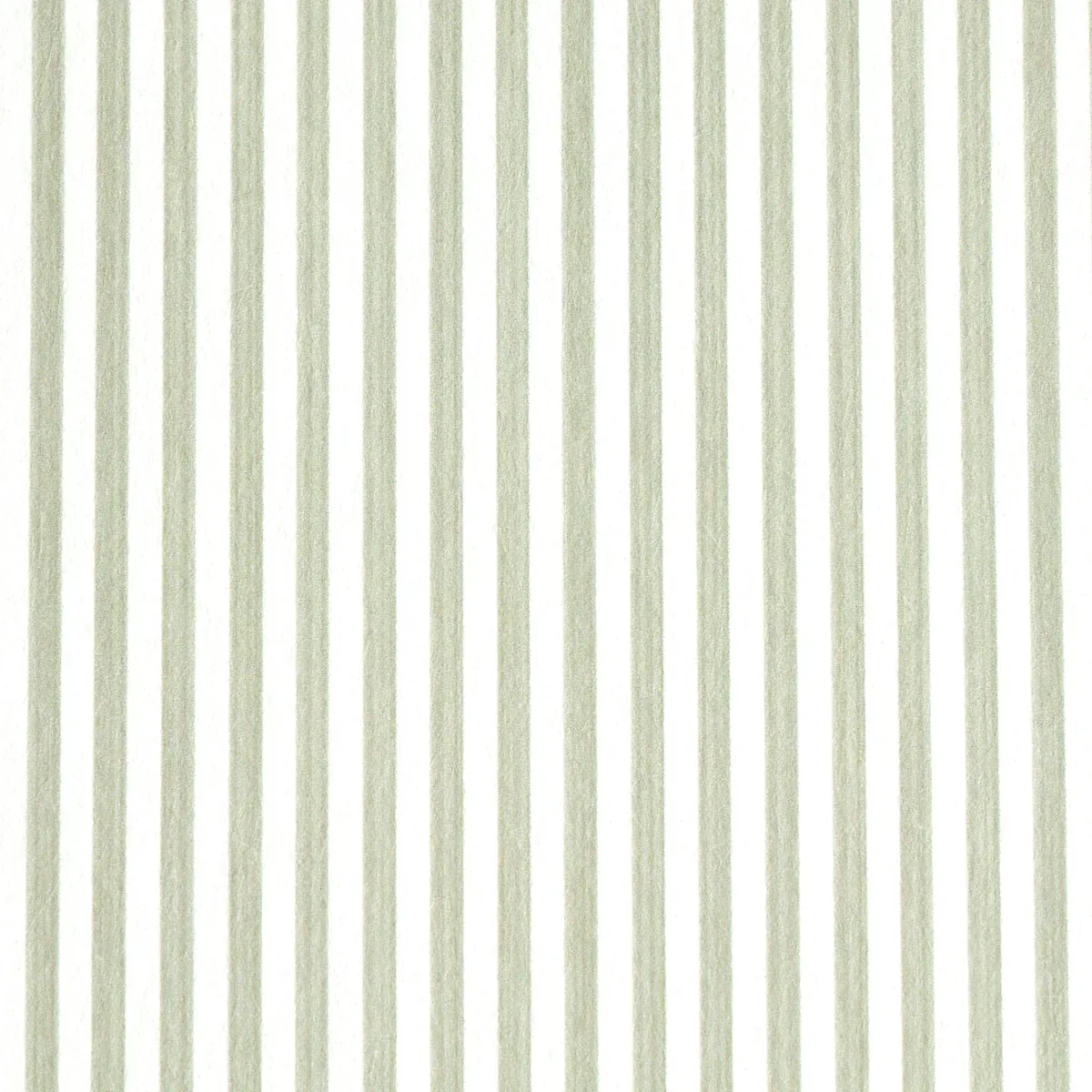 EDWIN STRIPE NARROW