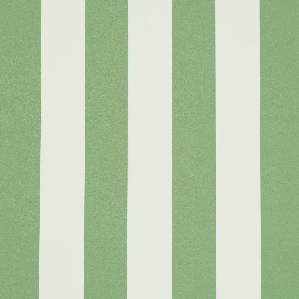 EMMA STRIPE