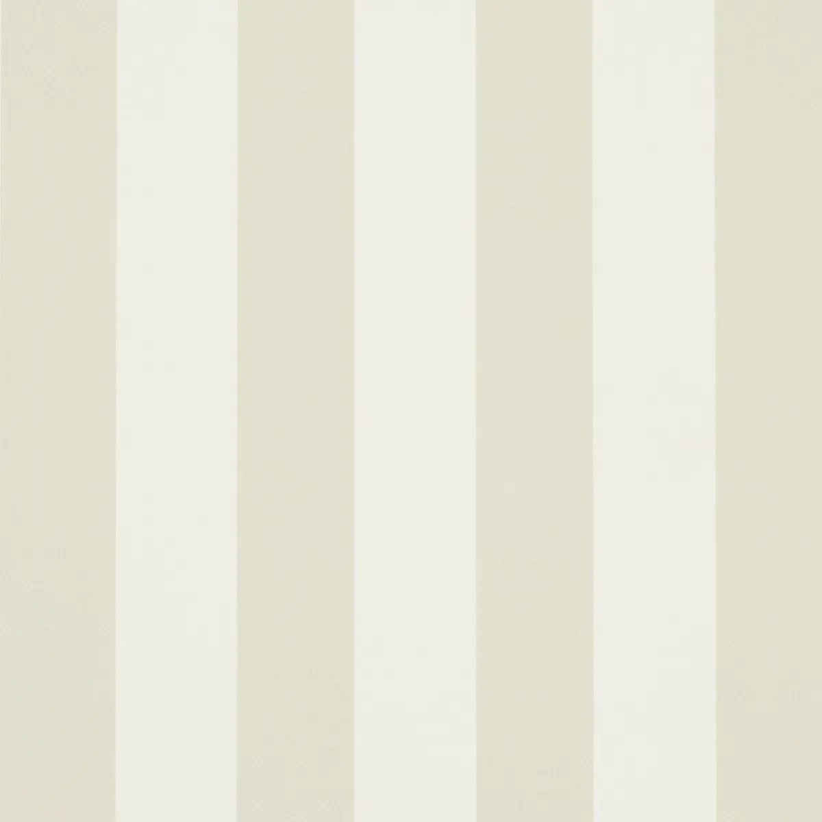 5017221 | EMMA STRIPE – BIRCH