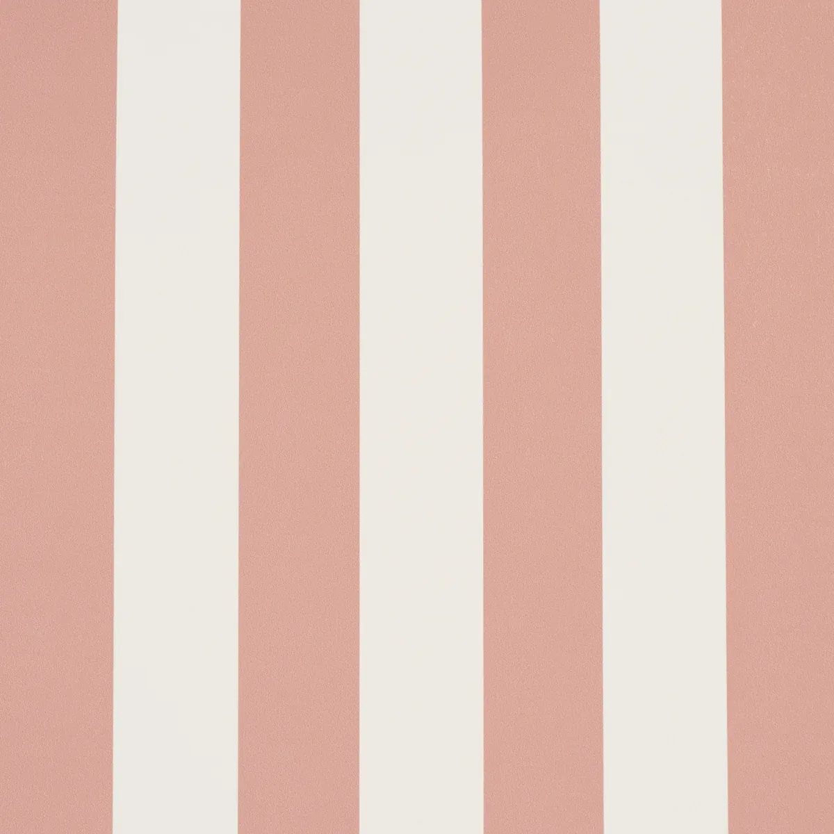 EMMA STRIPE