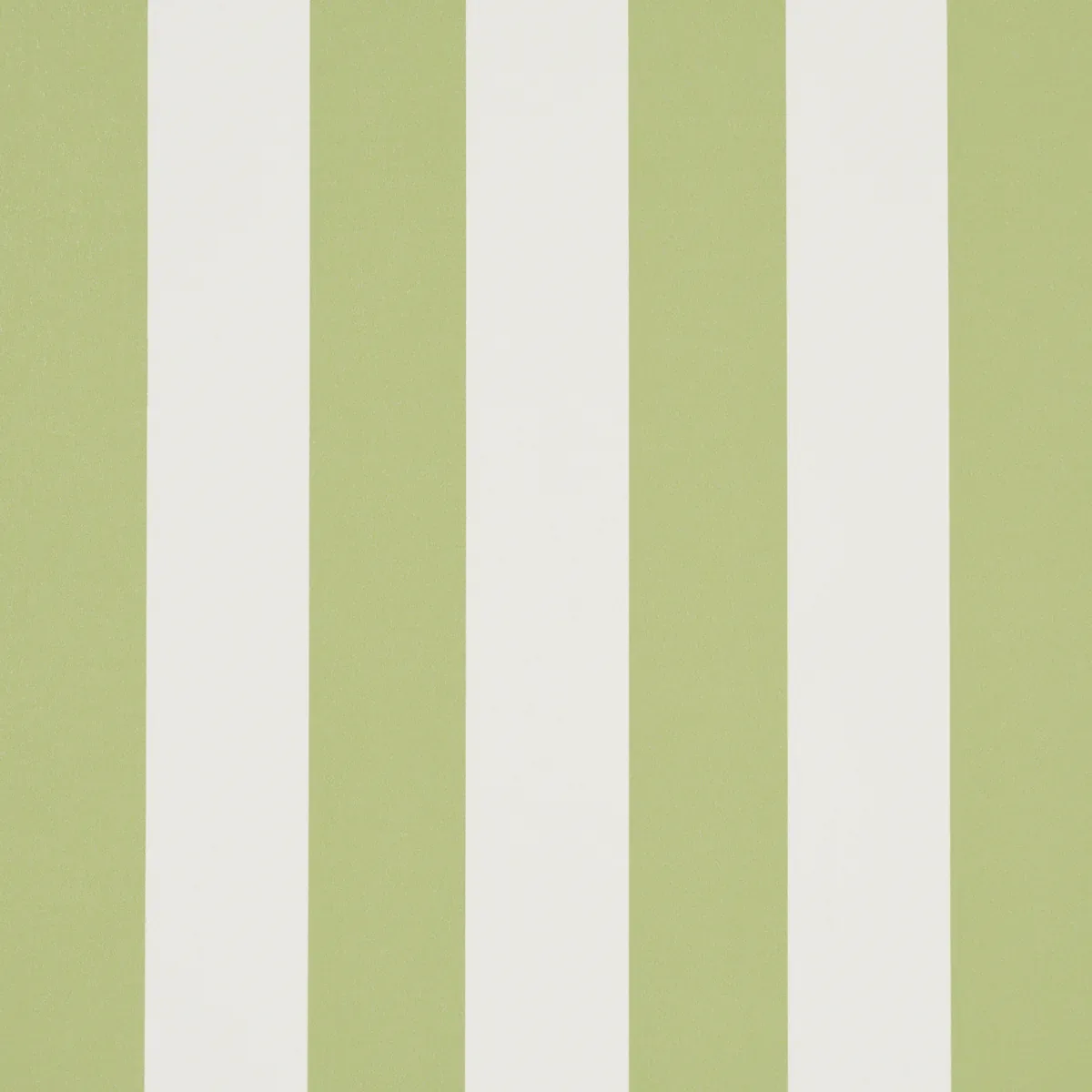 EMMA STRIPE