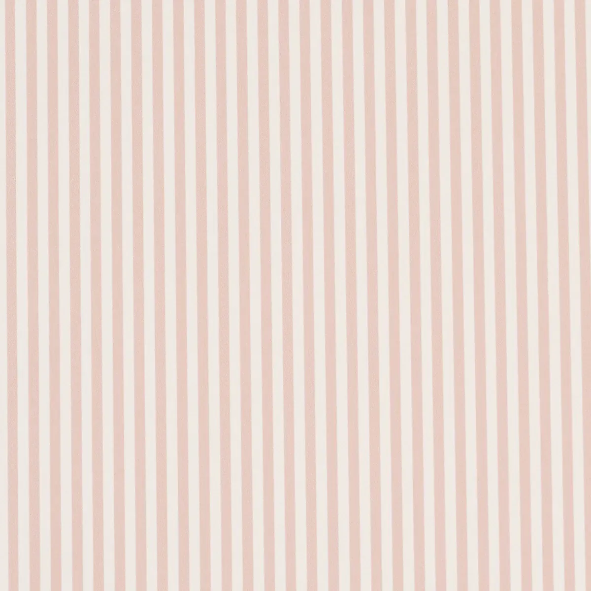 5017199 | EMMA STRIPE NARROW – BLUSH