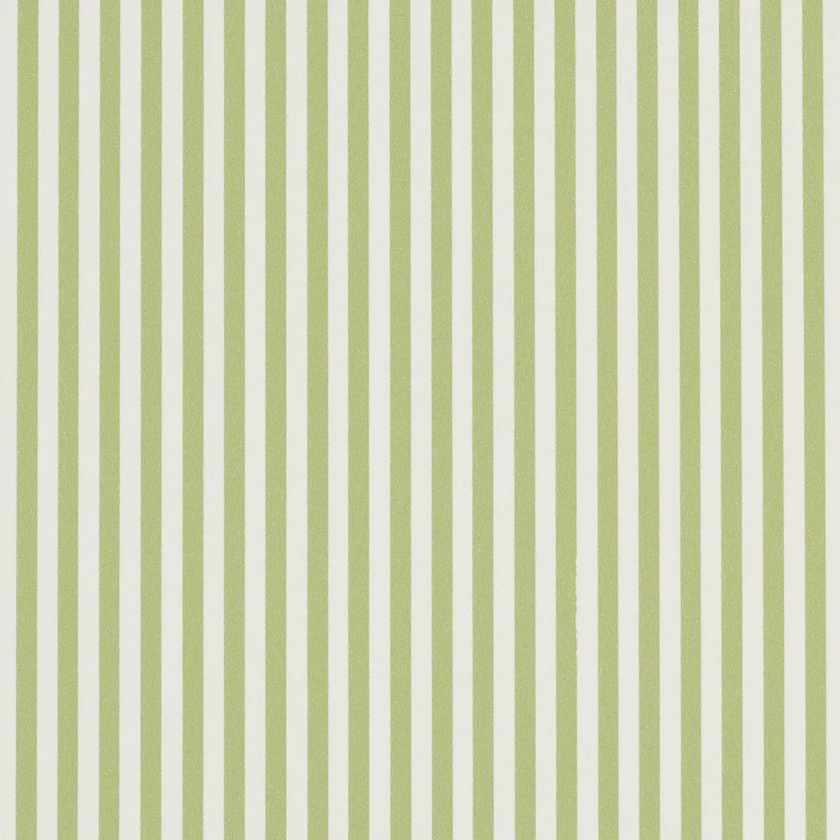 5017193 | EMMA STRIPE NARROW – LEAF