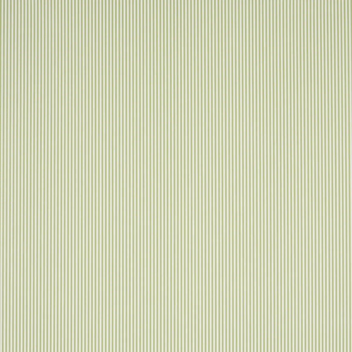 EMMA STRIPE NARROW LEAF Schumacher Wallpaper wallpaper - SKU 5017193