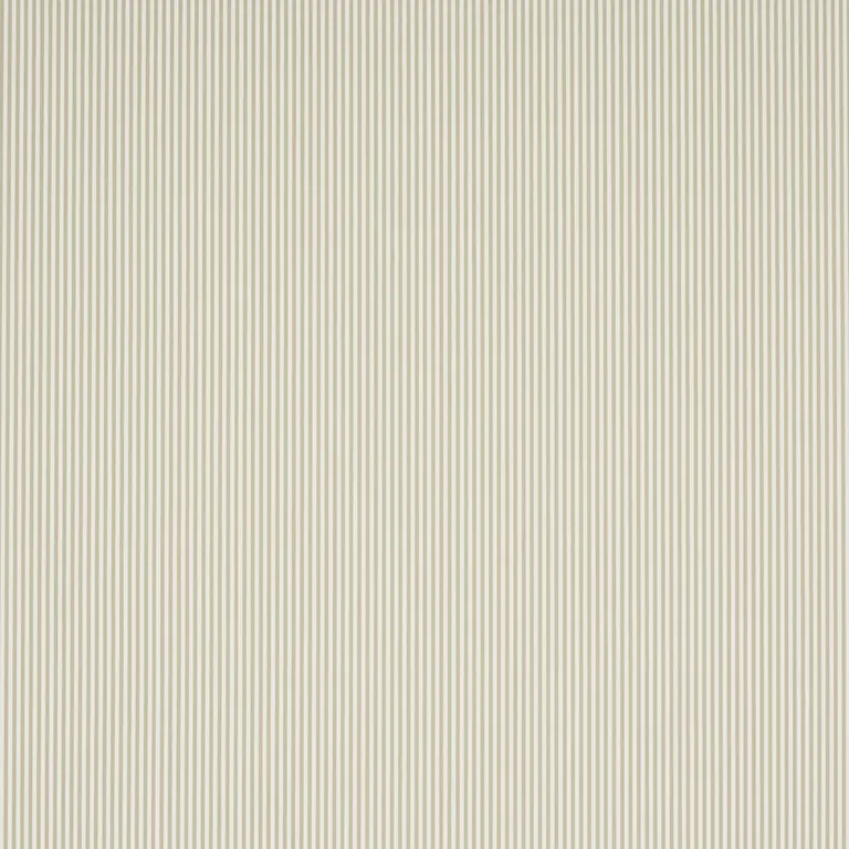 color NEUTRAL