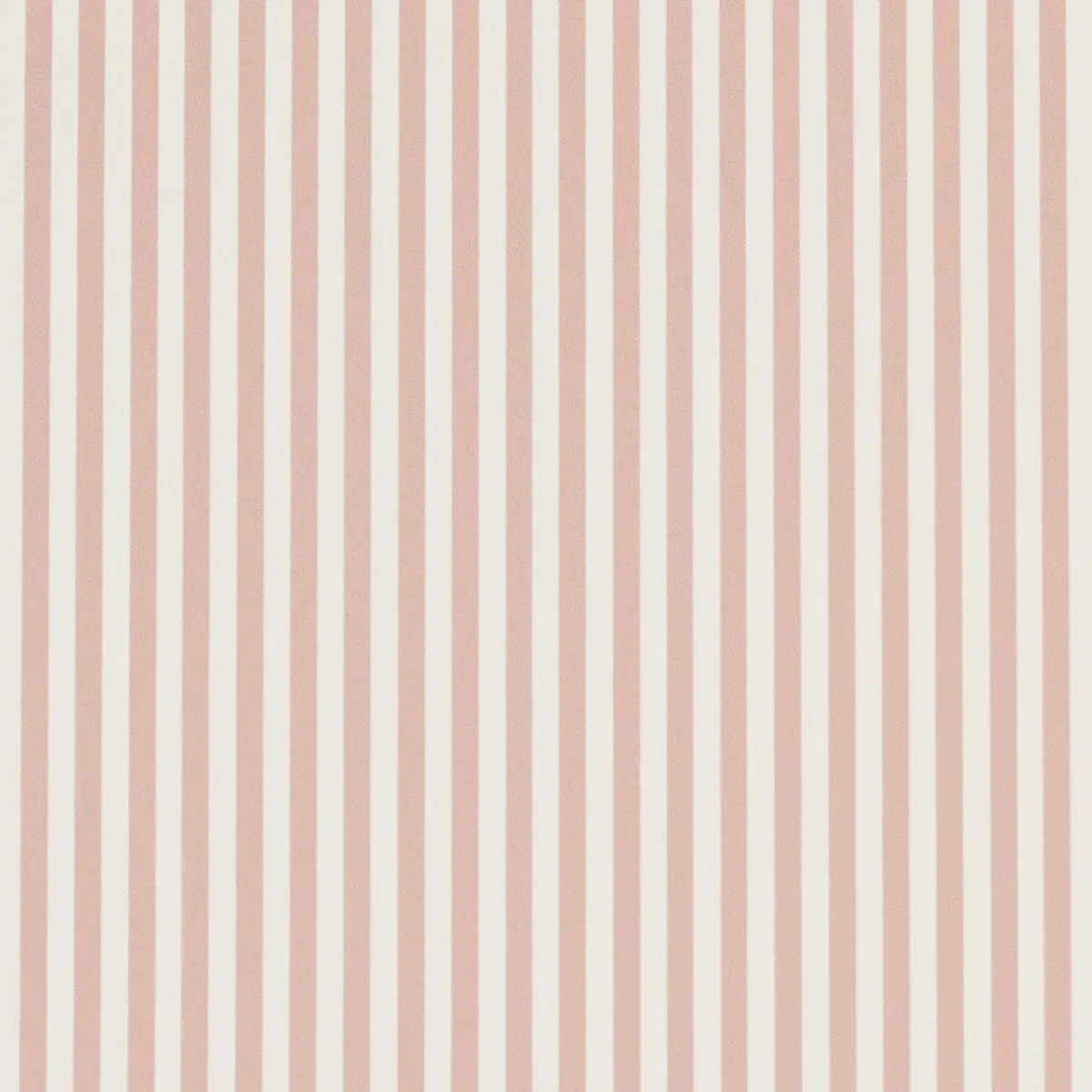 5017200 | EMMA STRIPE NARROW – ROSE