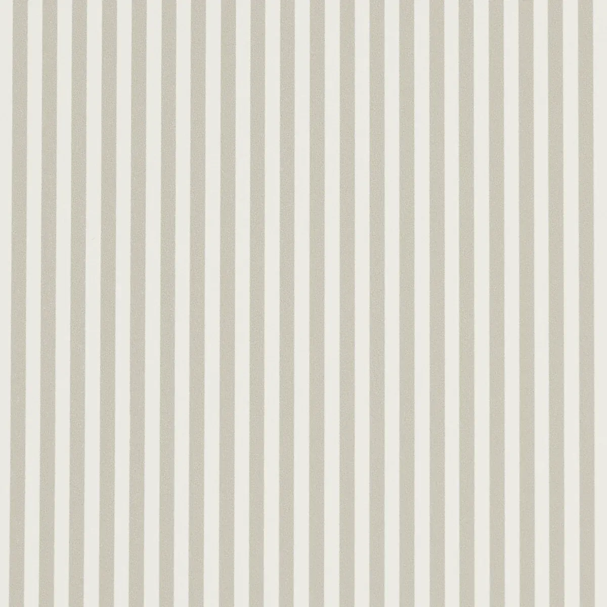 5017198 | EMMA STRIPE NARROW – STONE
