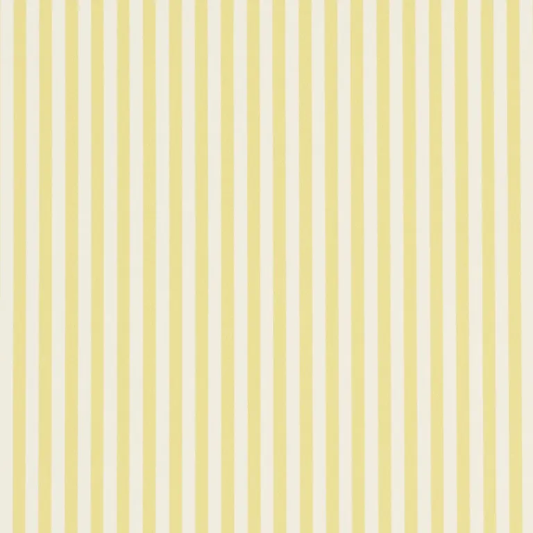 Schumacher EMMA STRIPE NARROW wallpaper
