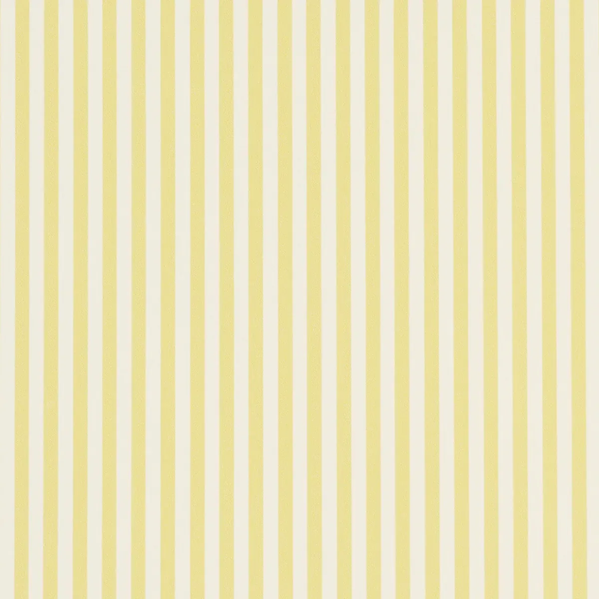 5017196 | EMMA STRIPE NARROW – YELLOW
