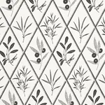 ENDIMIONE CARBON Schumacher Wallpaper wallpaper - SKU 5009373
