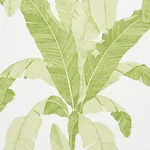ERISIMO LEAF Schumacher Wallpaper wallpaper - SKU 5012110