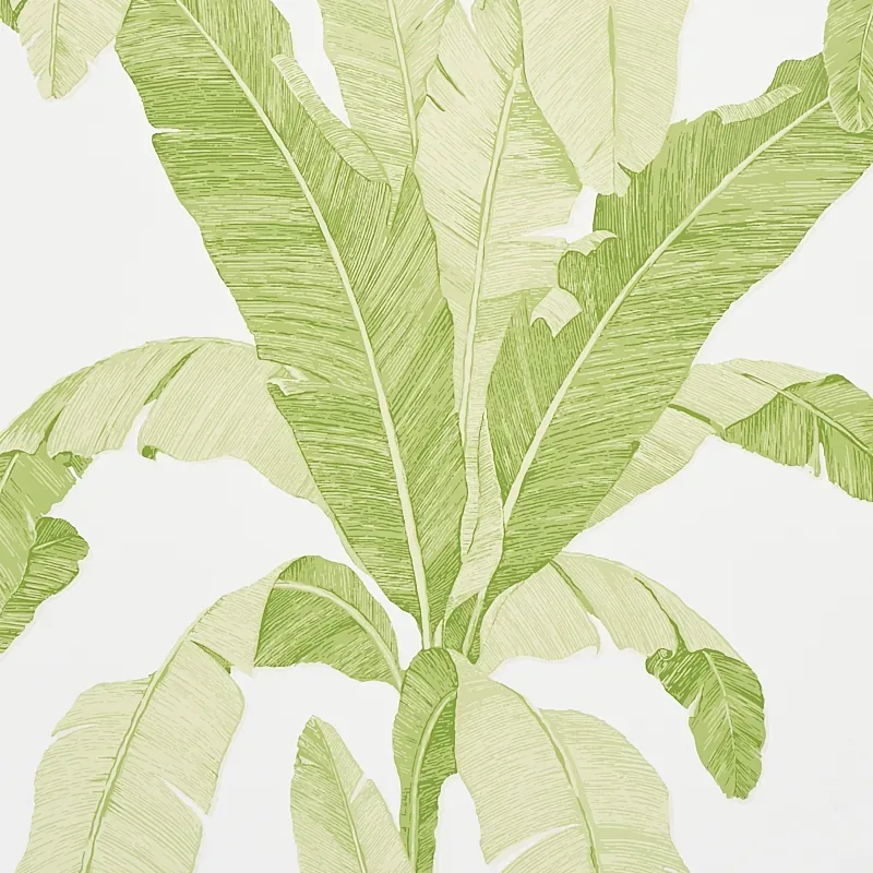 5012110 | ERISIMO – LEAF