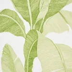 ERISIMO LEAF Schumacher Wallpaper wallpaper - SKU 5012110