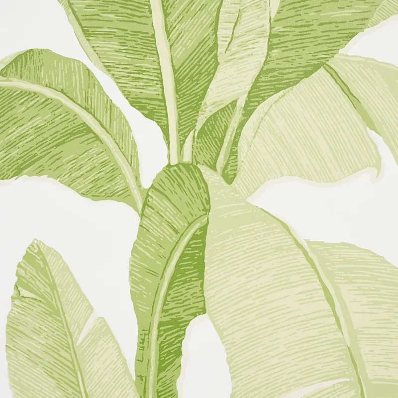 ERISIMO LEAF Schumacher Wallpaper wallpaper - SKU 5012110