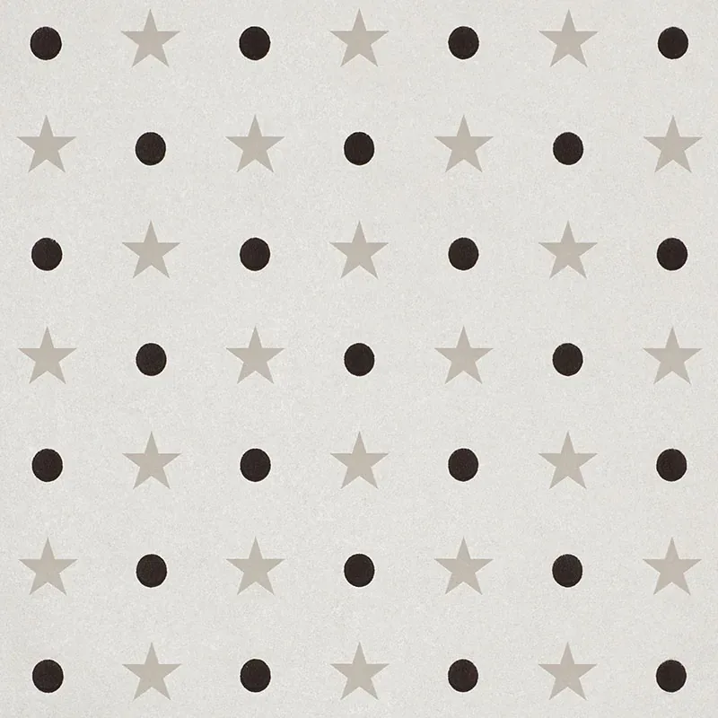 5008551 | ETOILES ET POINTS – WARM SILVER
