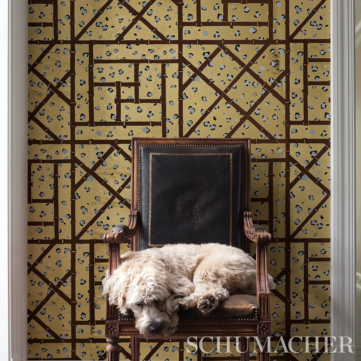 FANCY BEAST METALLIC GLAM GOLD Schumacher Wallpaper wallpaper - SKU 5012770