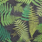 FERNARIUM BLACK & LEAF Schumacher Wallpaper wallpaper - SKU 5009191