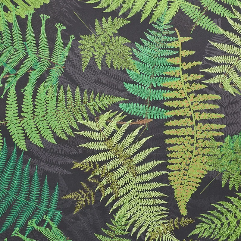 FERNARIUM BLACK & LEAF Schumacher Wallpaper wallpaper - SKU 5009191