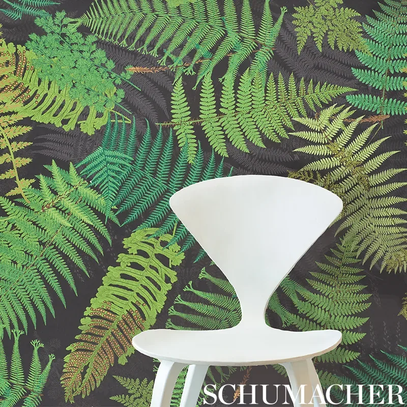 FERNARIUM BLACK & LEAF Schumacher Wallpaper wallpaper - SKU 5009191