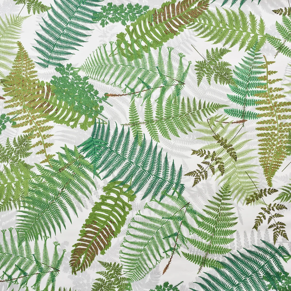 FERNARIUM IVORY & LEAF Schumacher Wallpaper wallpaper - SKU 5009190