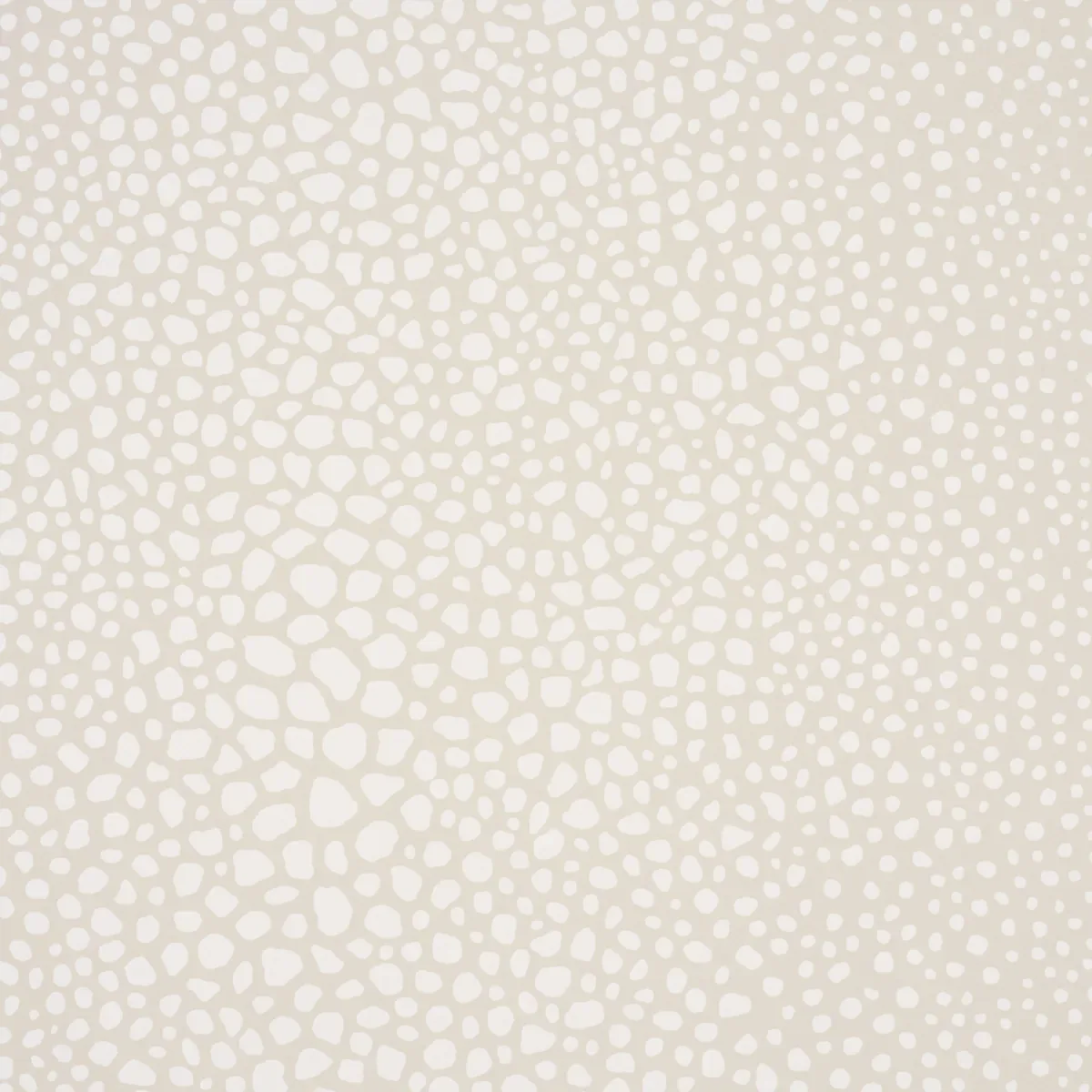 FICKLE TEXTURE