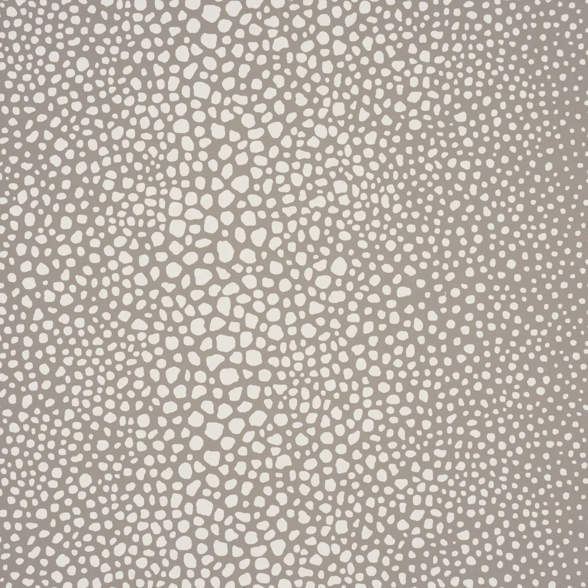 FICKLE TEXTURE