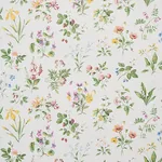 FLOREANA BERRY Schumacher Wallpaper wallpaper - SKU 5010680