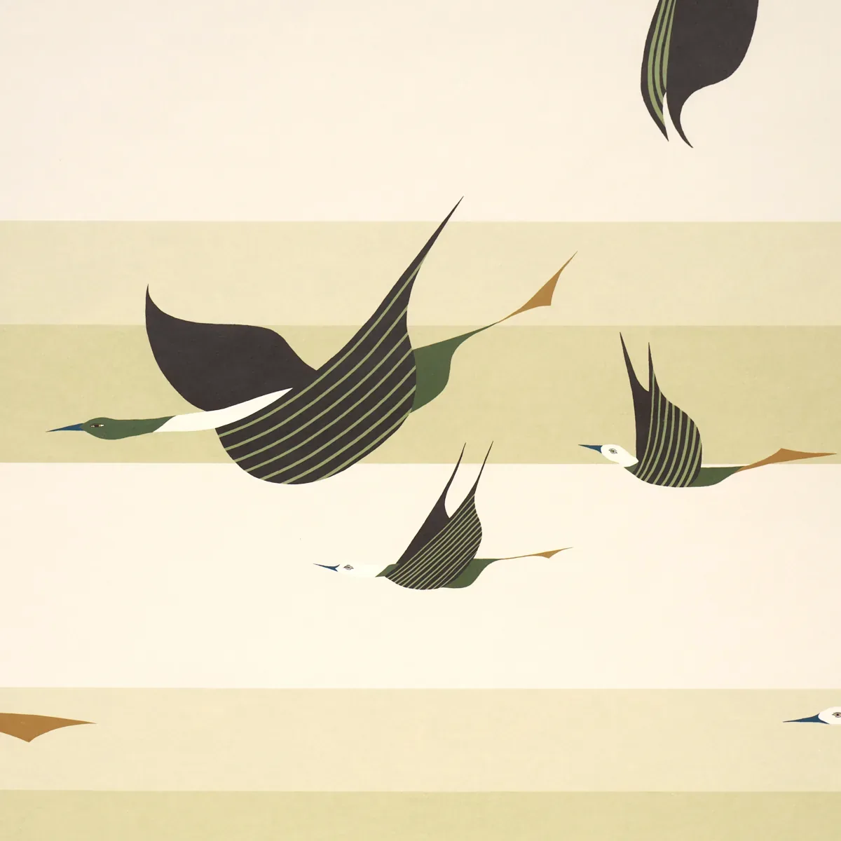 FLYING WEST GREEN Schumacher Wallpaper wallpaper - SKU 5015853