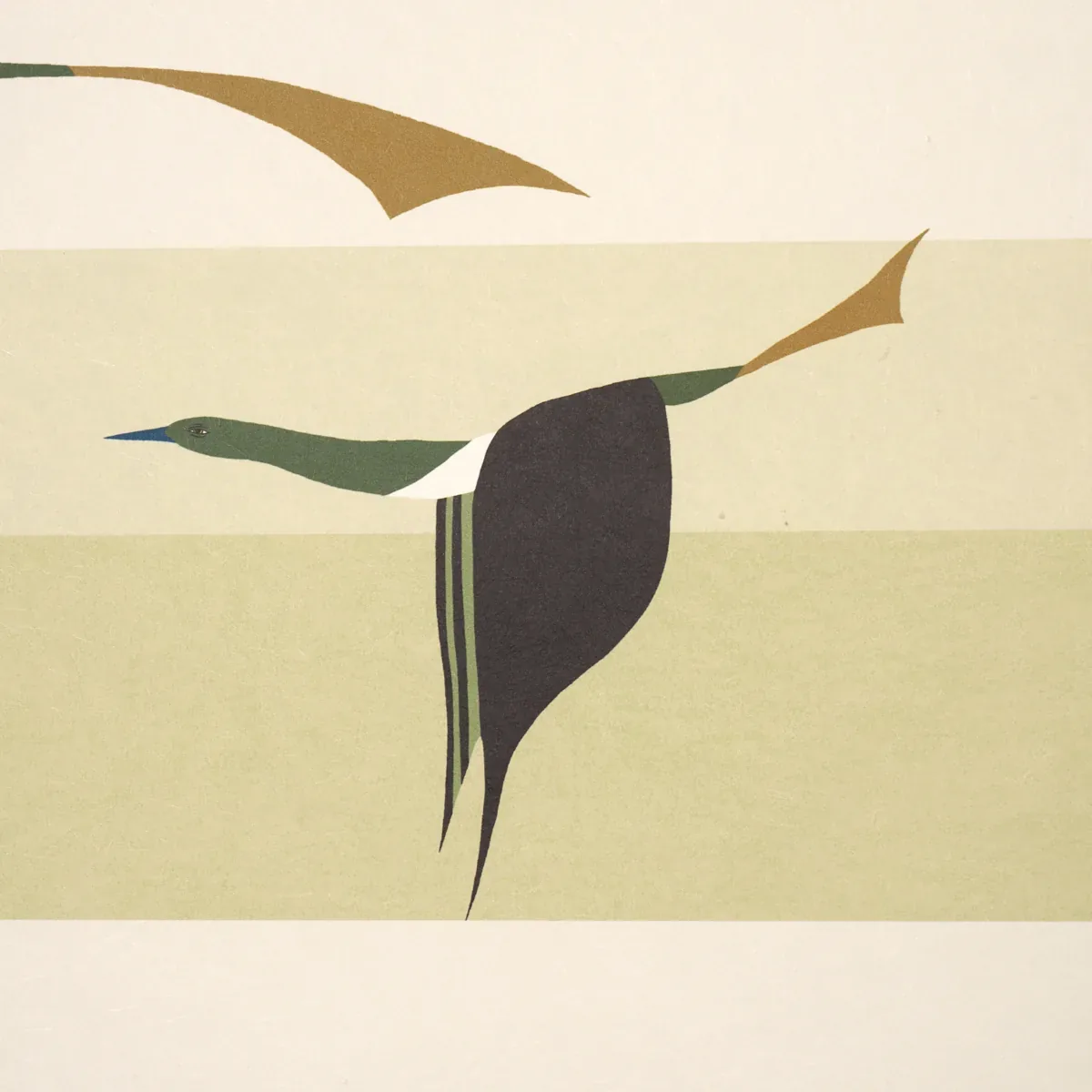 FLYING WEST GREEN Schumacher Wallpaper wallpaper - SKU 5015853
