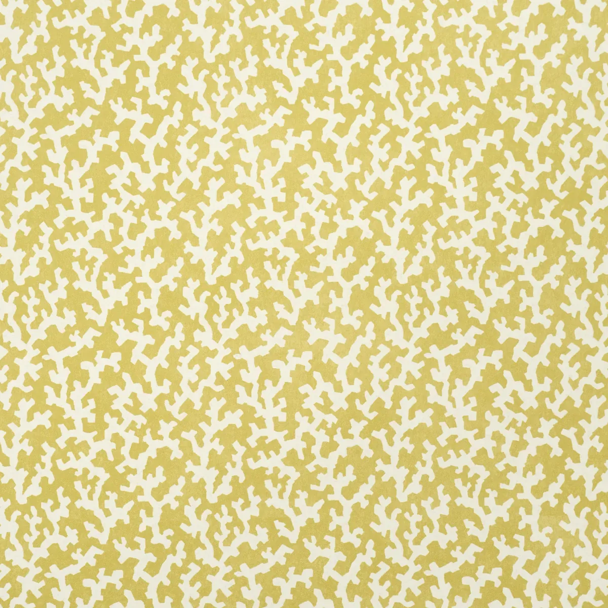 FOLLY - MIMOSA Schumacher Wallpaper | Wallpaper Twins FOLLY MIMOSA Schumacher Wallpaper wallpaper - SKU 5008007