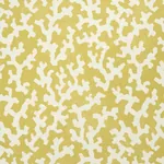 FOLLY - MIMOSA Schumacher Wallpaper | Wallpaper Twins FOLLY MIMOSA Schumacher Wallpaper wallpaper - SKU 5008007